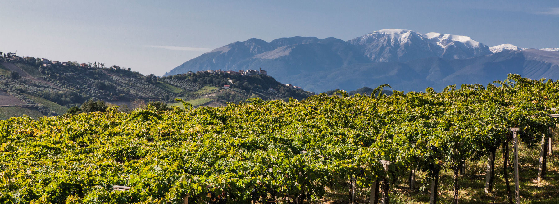 Consorzio-Abruzzo-1800x657px