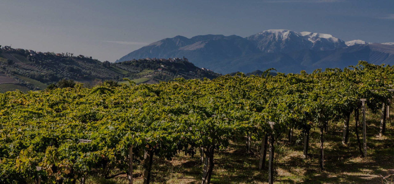 Copertina-organizzazioni-abruzzo_1280x600