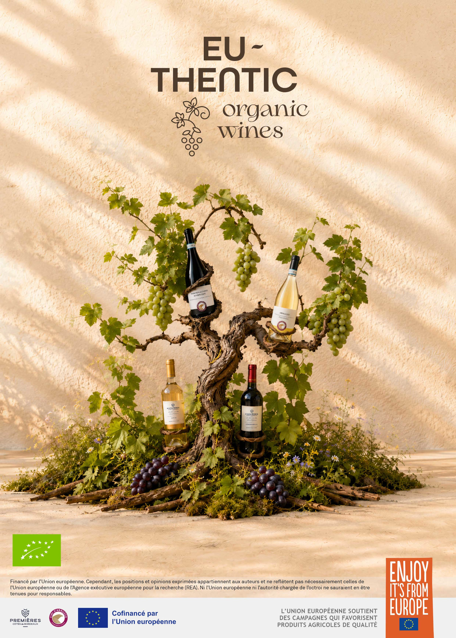 Visual_FR_resize